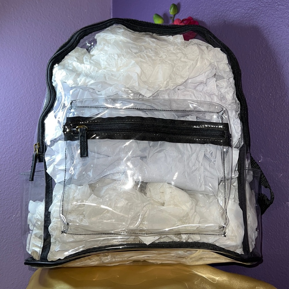 Clear Backpack